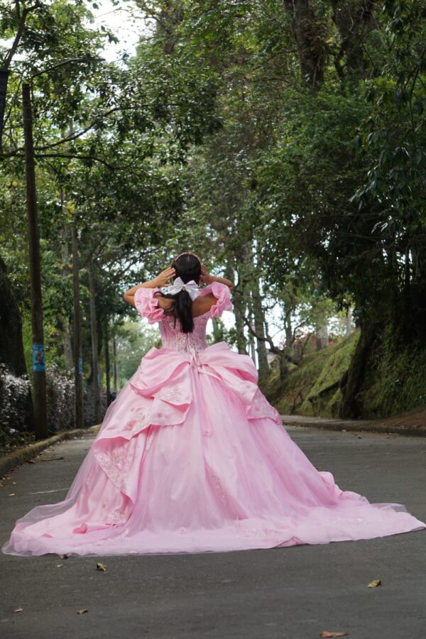 Vestido de XV Pink de cola