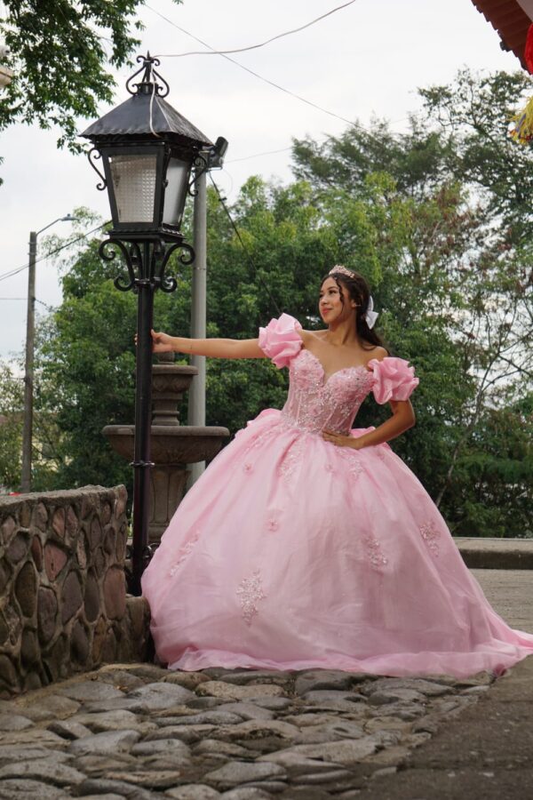 Vestido de XV Pink de cola