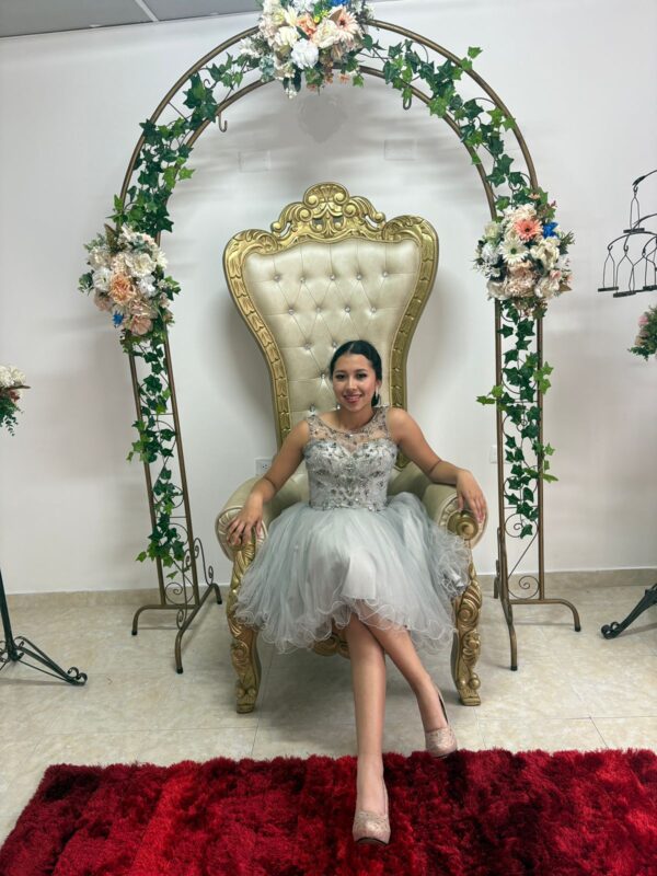 Vestido Silver