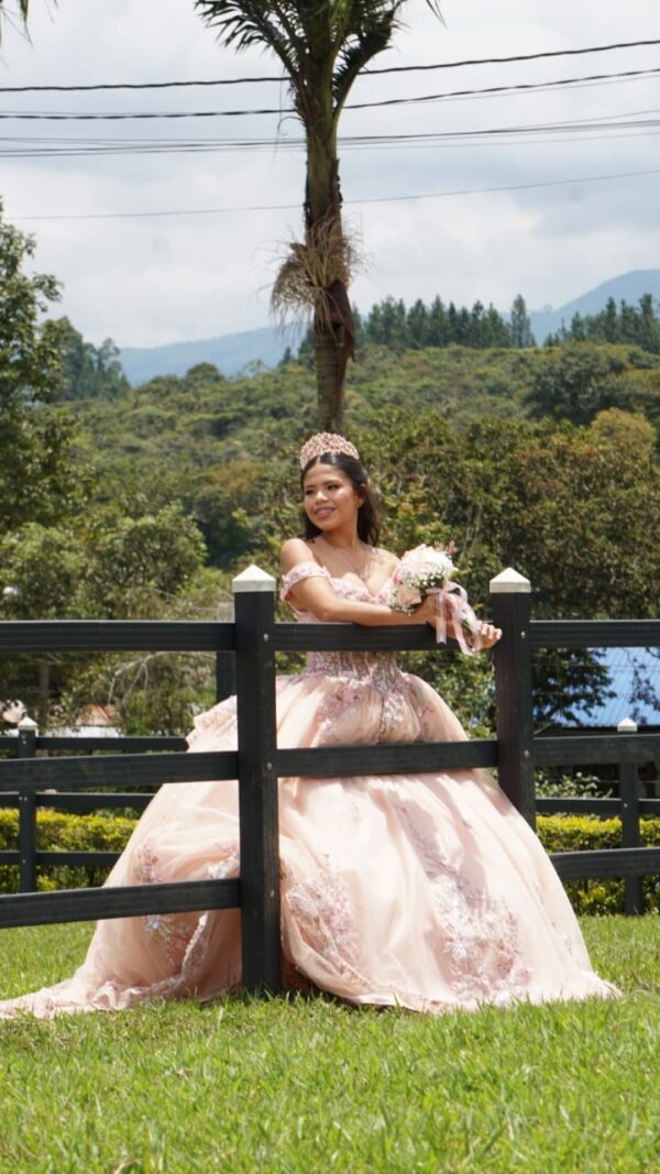 Vestido Blush semicola