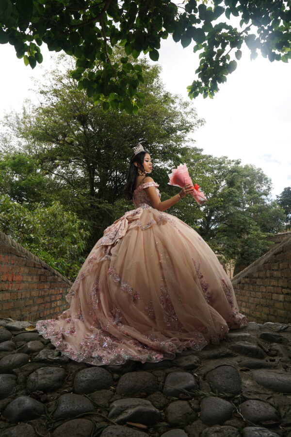 Vestido Blush semicola